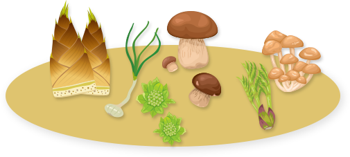 meals